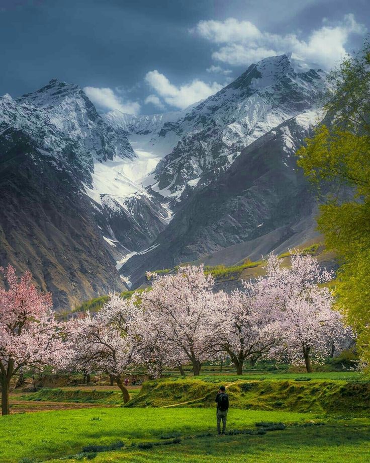 Spring in Skardu